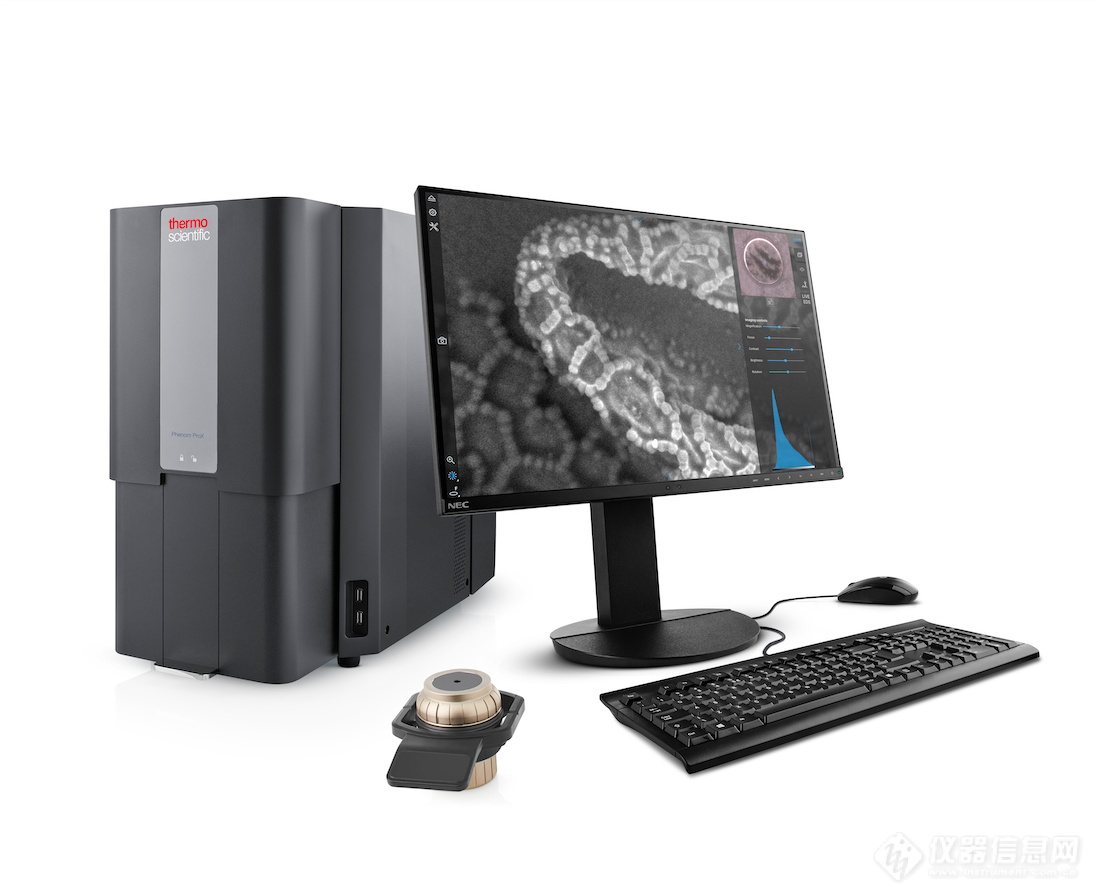 荷兰飞纳台式扫描电镜SEM